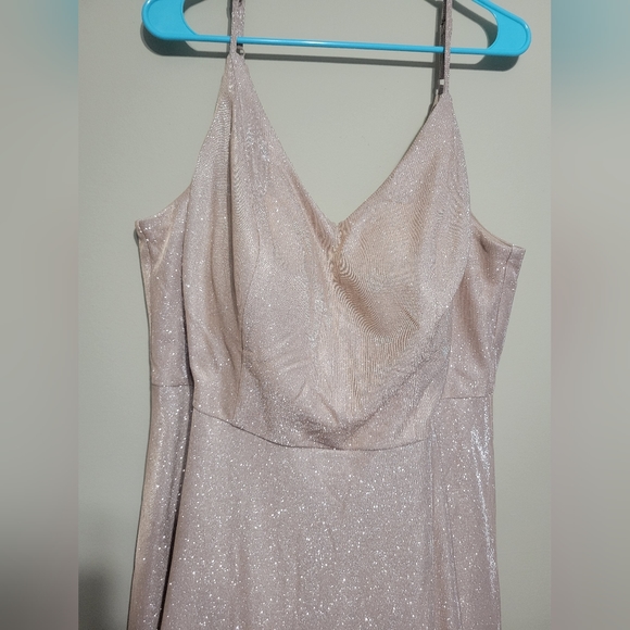 NWT SPARKLE champagne knee length dress size 18 With POCKETS! - Picture 4 of 6